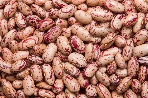 Chitra Rajma
